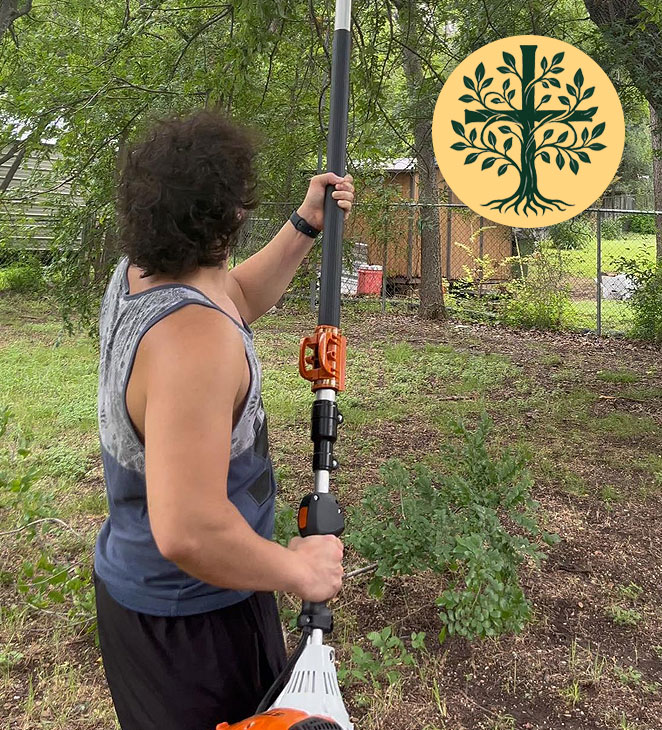 Tree Trimming Marlin Texas 